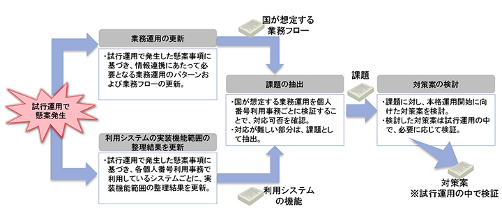 試行運用期間中の業務運用等の確認手順