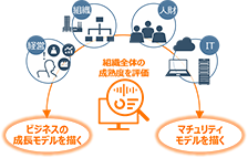 推進上の課題を可視化し、組織全体の成熟度を評価のイメージ図