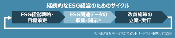 継続的なESG経営のためのサイクルのイメージ図